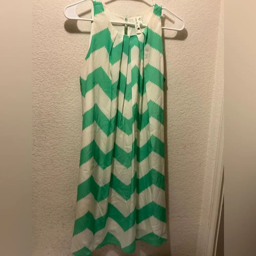 Pink Owl A-Line Skirt in Green and White Chevron